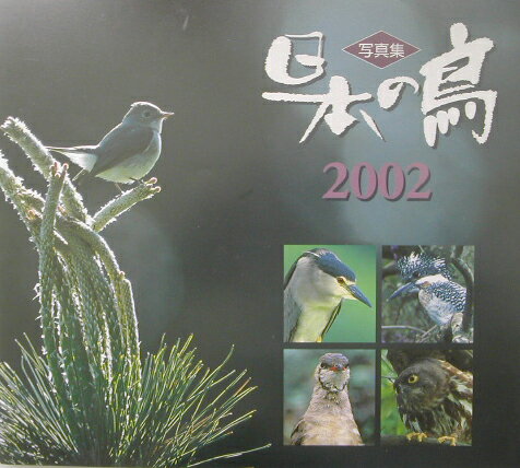 【中古】日本の鳥 写真集 2002/文一総合出版/Birder編集部（大型本）