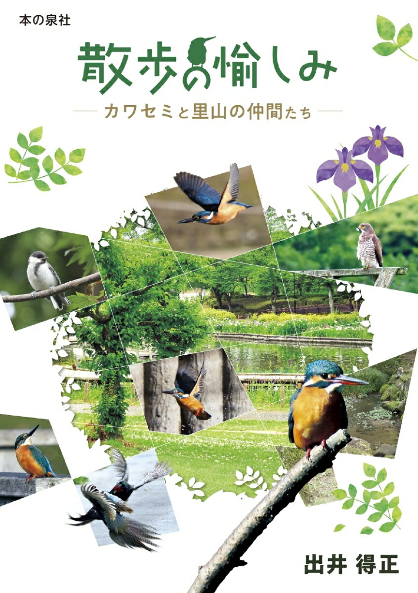 【中古】散歩の愉しみ カワセミと里山の仲間たち 出井得正（単行本（ソフトカバー））