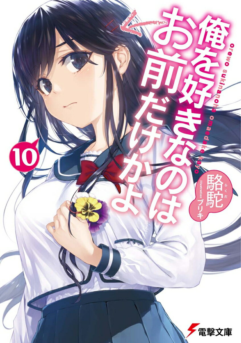 【中古】俺を好きなのはお前だけかよ 10 電撃文庫 / 駱駝（文庫）