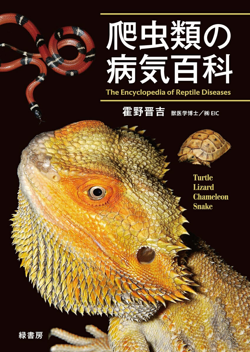 【中古】爬虫類の病気百科（単行本）