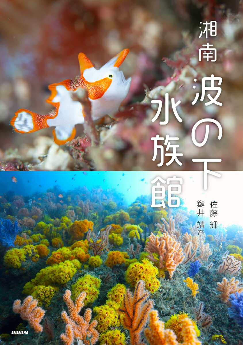 【中古】湘南波の下水族館 佐藤輝 鍵井靖章 工藤孝浩（単行本（ソフトカバー））
