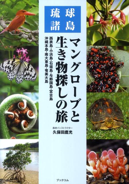 【中古】マングロ-ブと生き物探しの旅 琉球諸島 /ブックコム/久保田鷹光（単行本（ソフトカバー））