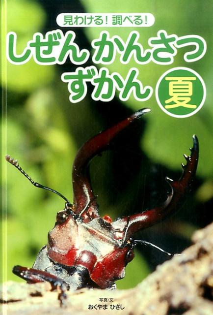 【中古】見わける！　調べる！　しぜんかんさつずかん　夏（単行本）