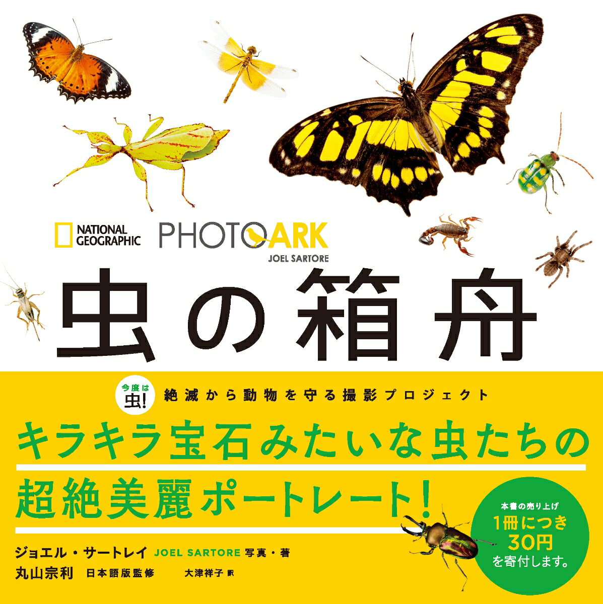 【中古】PHOTO ARK　虫の箱舟　絶滅から動物を守る撮影プロジェクト（単行本（ソフトカバー））