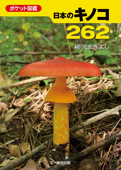 【中古】日本のキノコ262（文庫）