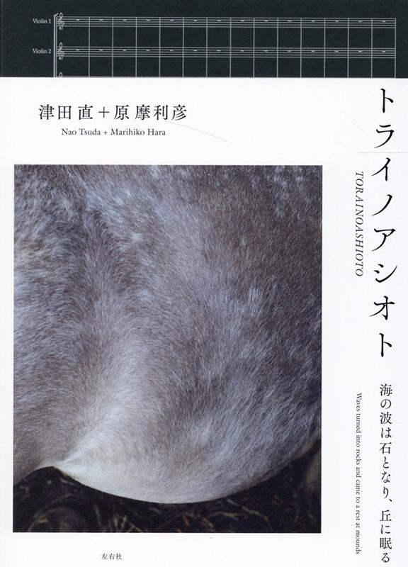 【中古】トライノアシオト（単行本（ソフトカバー））