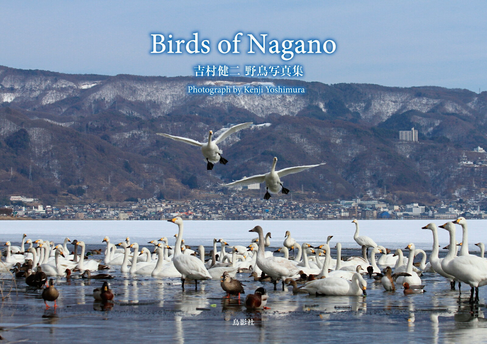 【中古】Birds of Nagano 吉村健二 野鳥写真集（単行本）