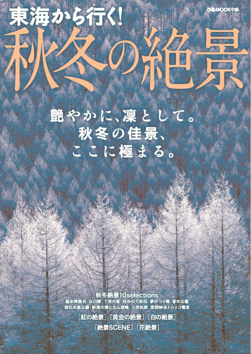 导游手册 - 【中古】東海から行く！秋冬の絶景（ムック）