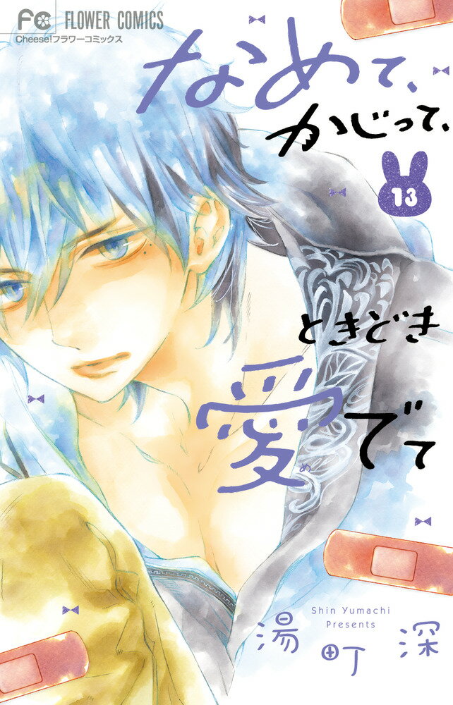 Shueisha Margaret C - 【中古】なめて、かじって、ときどき愛でて（13）（コミック）