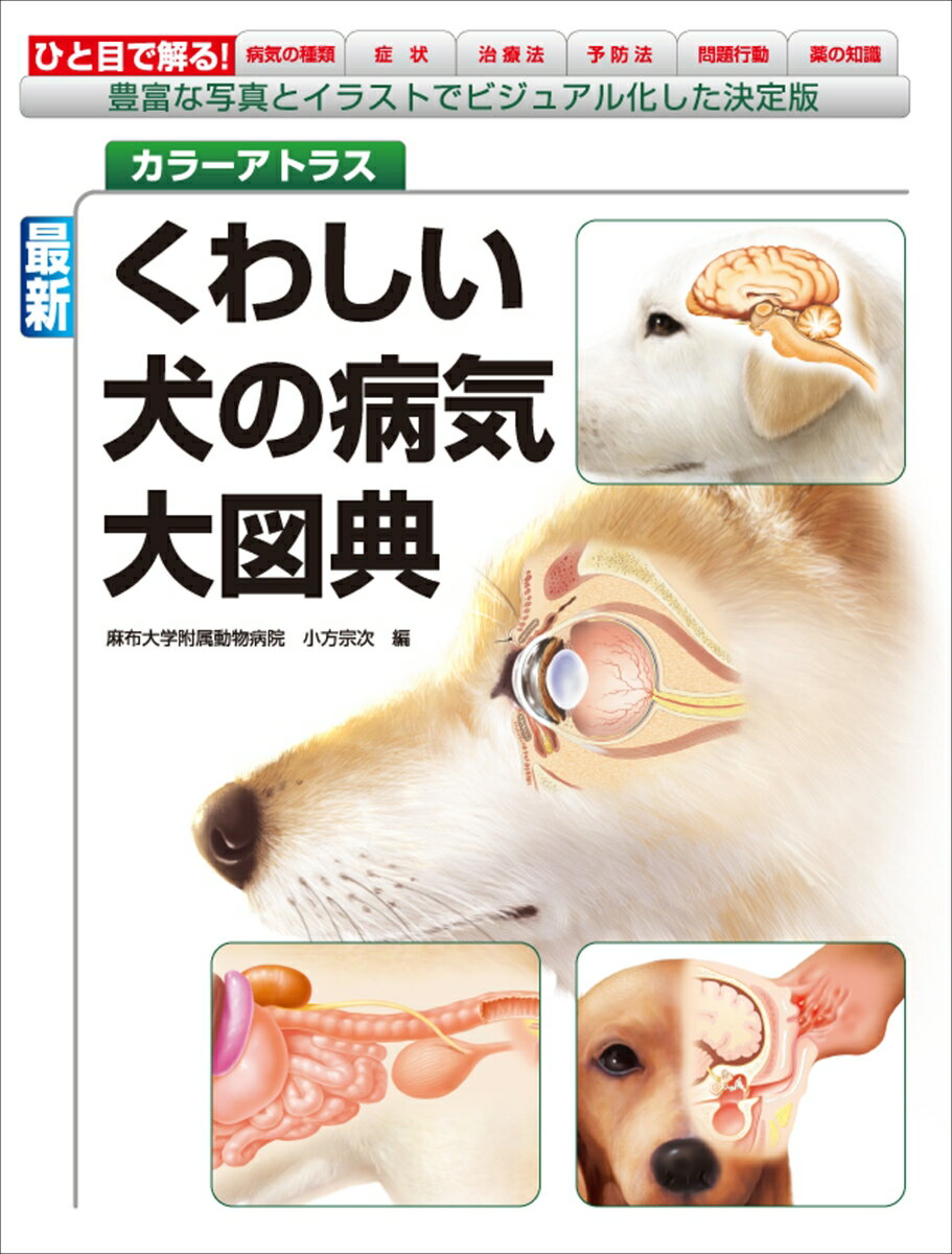 Rakuten