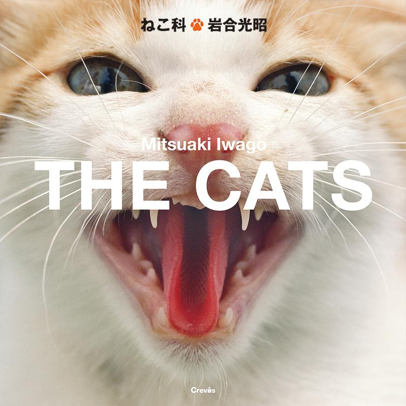 ◆◆◆非常にきれいな状態です。中古商品のため使用感等ある場合がございますが、品質には十分注意して発送いたします。 【毎日発送】 商品状態 著者名 岩合光昭 出版社名 クレヴィス 発売日 2019年07月 ISBN 9784904845806