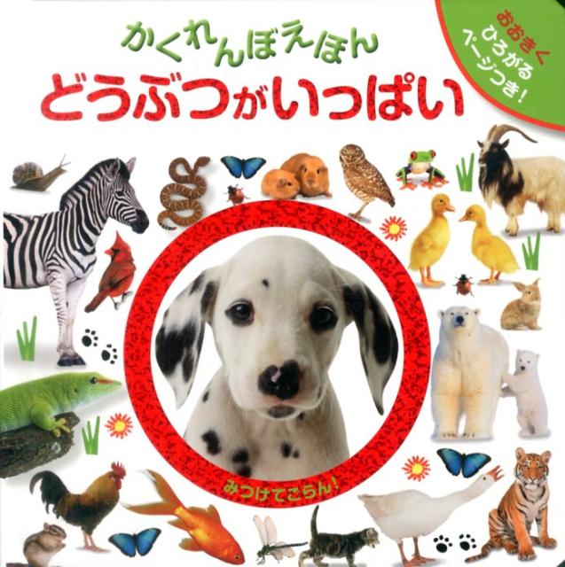 Picture-Book - 【中古】かくれんぼえほんどうぶつがいっぱい（単行本）