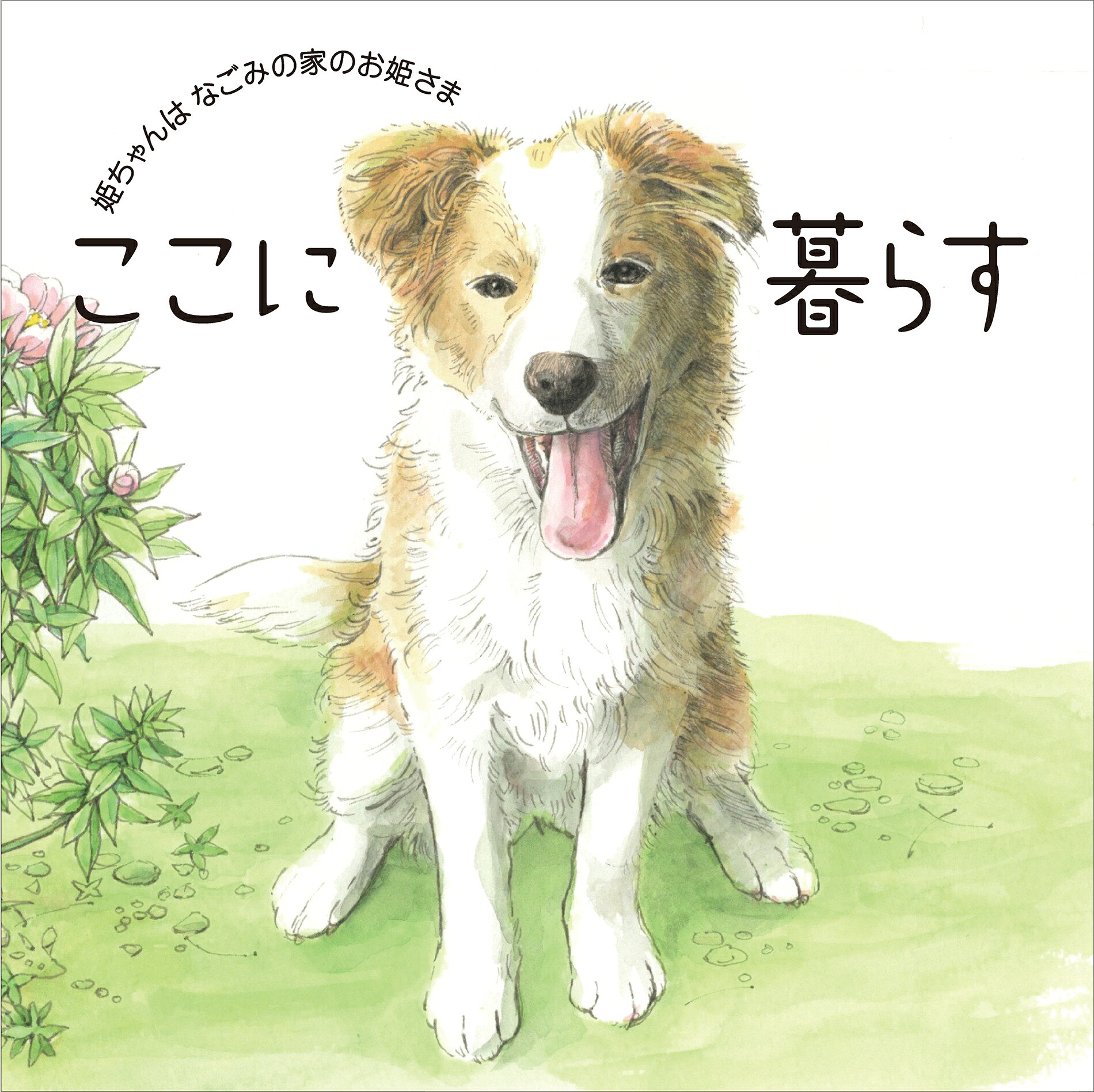 【中古】ここに暮らす?姫ちゃんはなごみの家のお姫さま? / 吉田利康