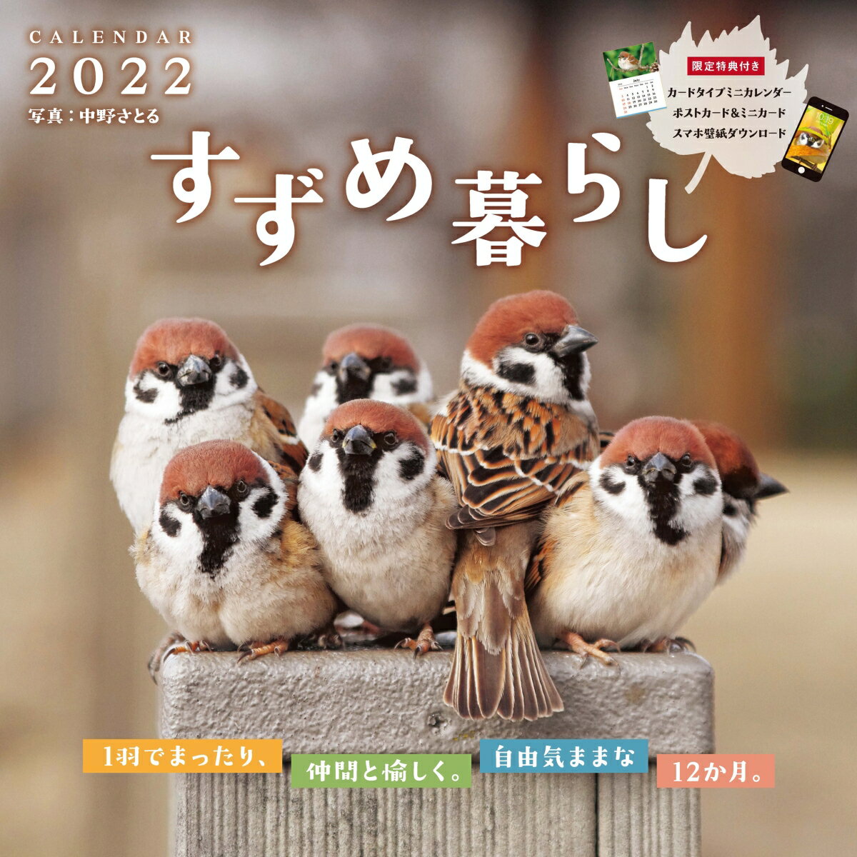 【中古】すずめ暮らしCALENDAR（2022）の商品画像