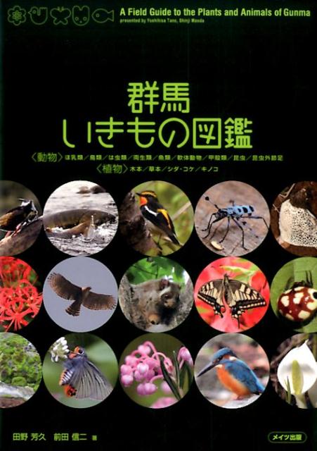 【中古】群馬いきもの図鑑（単行本）