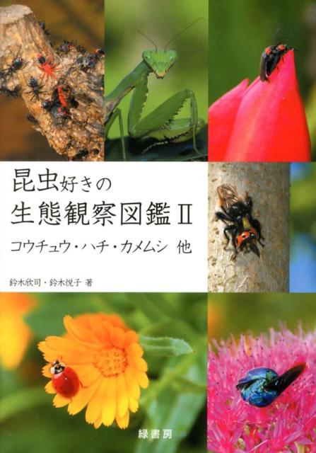 【中古】昆虫好きの生態観察図鑑（2）（単行本（ソフトカバー））