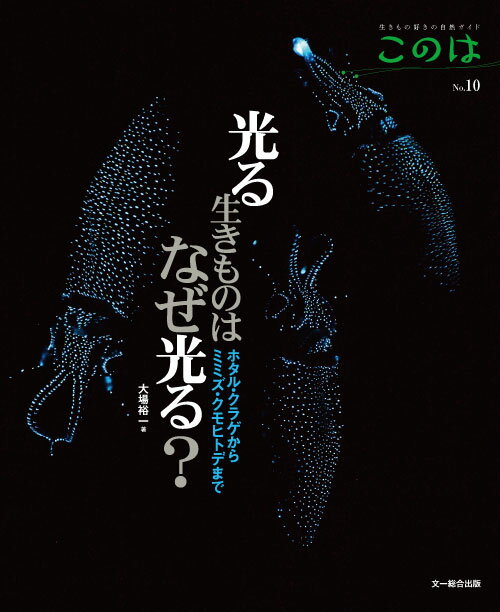 【中古】光る生きものはなぜ光る？（大型本）