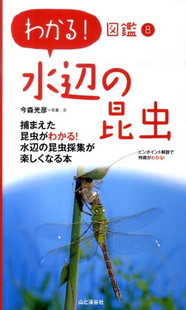 乐天商城 - 【中古】水辺の昆虫（単行本（ソフトカバー））