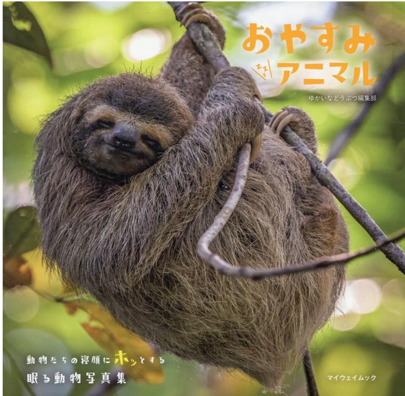 【中古】おやすみアニマル（雑誌）