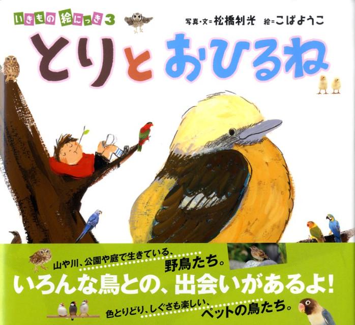 【中古】とりとおひるね（大型本）