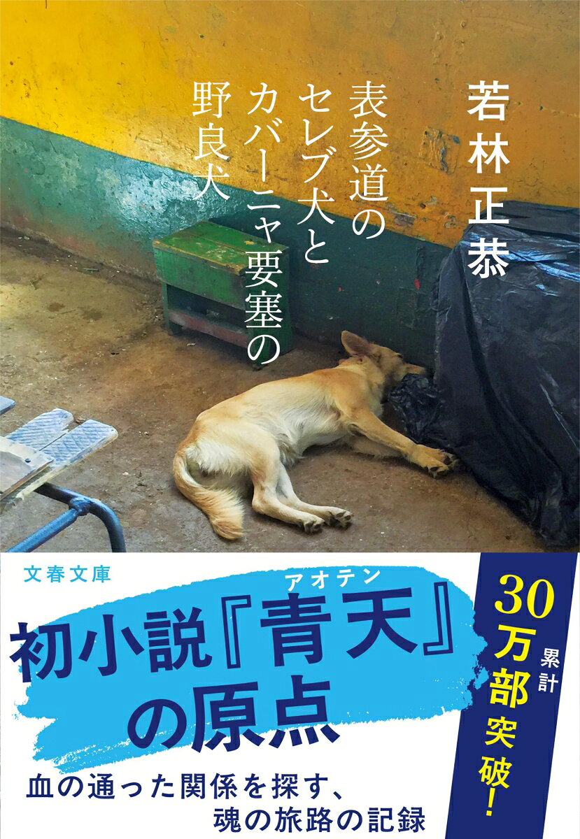 【中古】表参道のセレブ犬とカバーニャ要塞の野良犬...の商品画像