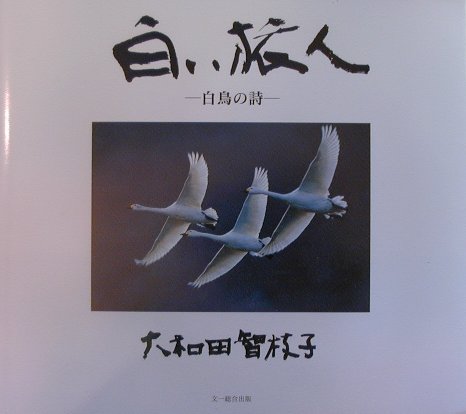 【中古】白い旅人（大型本）