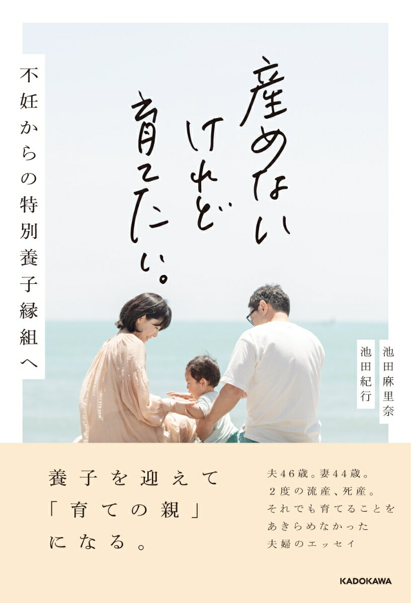 【中古】産めないけれど育てたい。 不妊からの特別養子縁組へ（単行本）