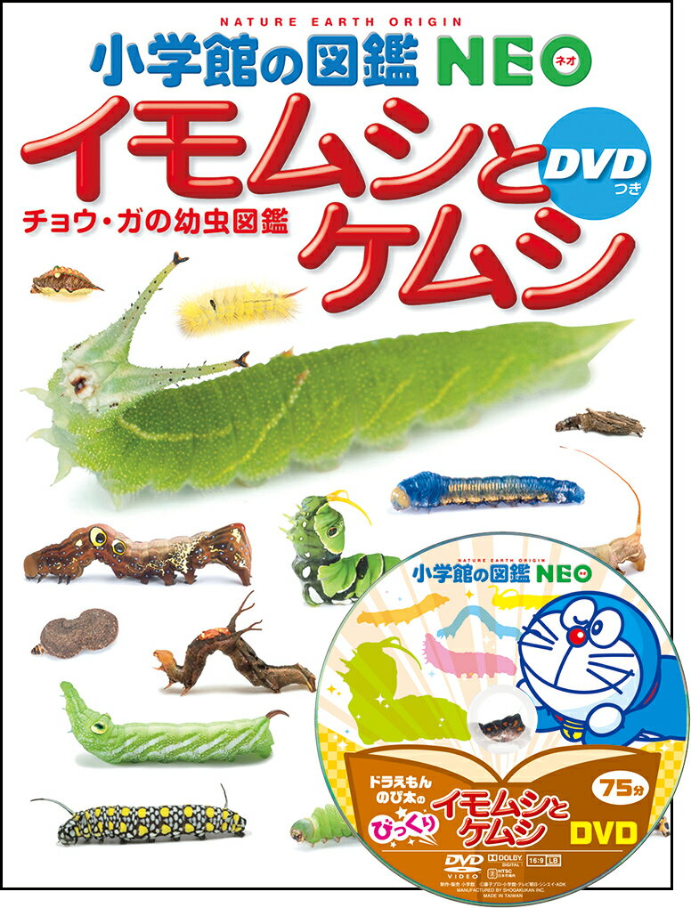 【中古】小学館の図鑑NEO イモムシとケムシ DVDつき（大型本）