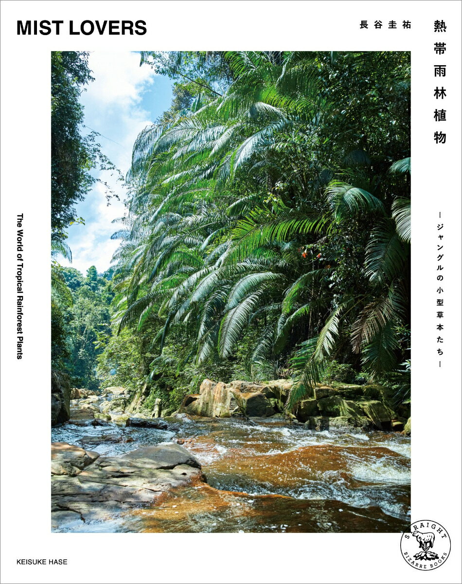 Botany - 【中古】熱帯雨林植物 MIST LOVERS -ジャングルの小型草本たちー（単行本）