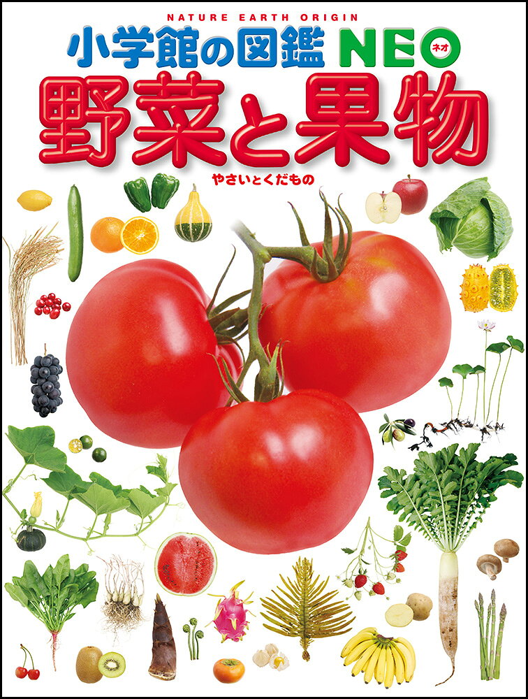 【中古】小学館の図鑑 NEO 野菜と果物（大型本）