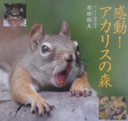 【中古】感動！アカリスの森（単行本）
