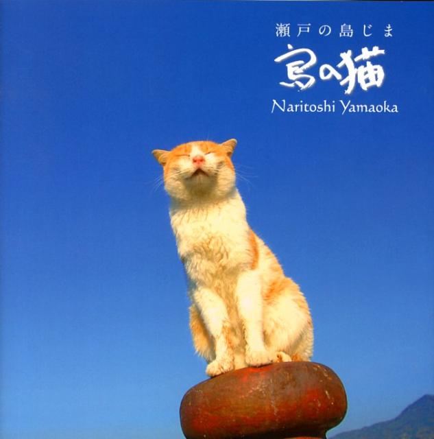 ◆◆◆おおむね良好な状態です。中古商品のため使用感等ある場合がございますが、品質には十分注意して発送いたします。 【毎日発送】 商品状態 著者名 著:山岡成俊 出版社名 ネコ・パブリッシング 発売日 2008年09月 ISBN 9784777052400