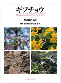 【中古】ギフチョウ（大型本）