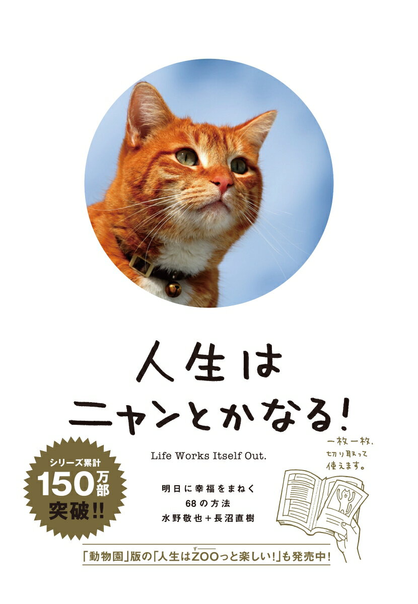 【中古】人生はニャンとかなる！（単行本（ソフトカバー））