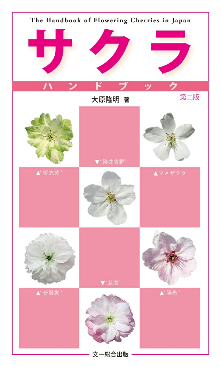 楽天市場】文一総合出版 ハンドブック 中古の通販