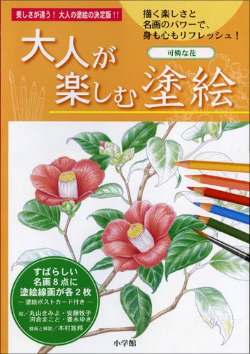 【中古】大人が楽しむ塗絵（大型本）