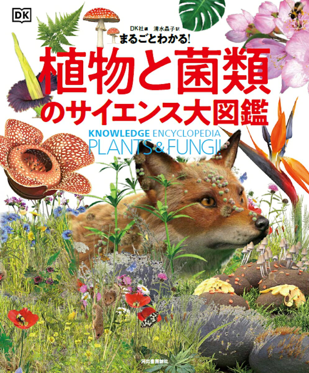 ◆◆◆おおむね良好な状態です。中古商品のため使用感等ある場合がございますが、品質には十分注意して発送いたします。 【毎日発送】 商品状態 著者名 DorlingKindersley,Inc、清水,晶子,1958- 出版社名 河出書房新社 発売日 2025年06月 ISBN 9784309254746