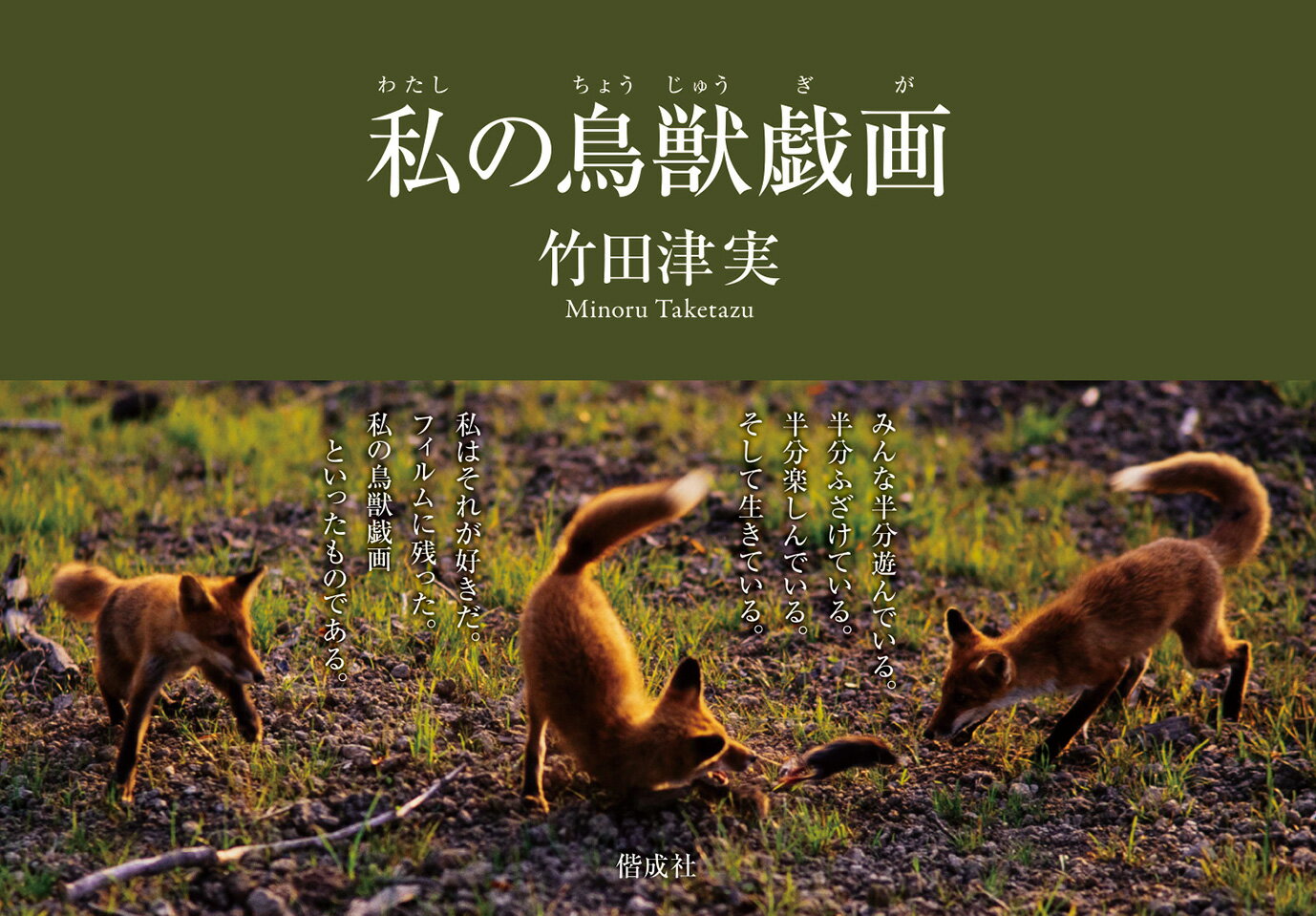 【送料無料】私の鳥獣戯画／竹田津実