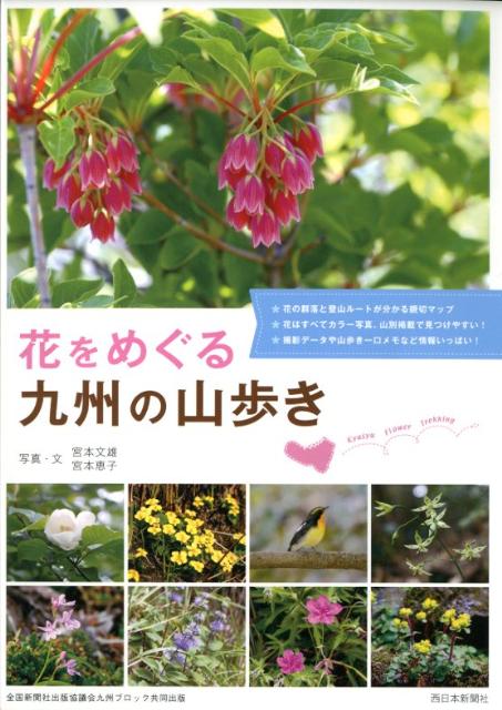 【中古】花をめぐる九州の山歩き（単行本）