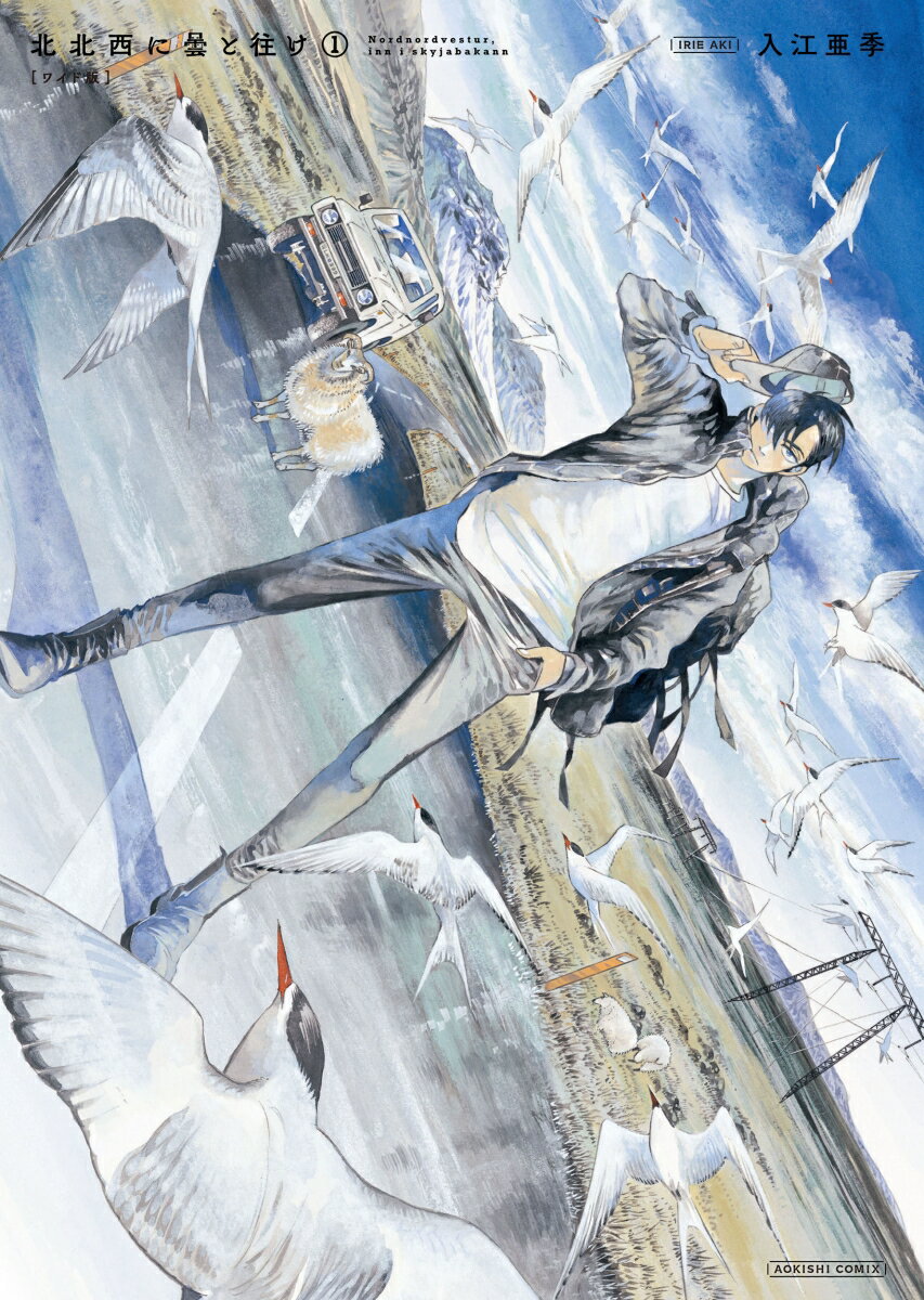 m*ä様 【サイン本】入江亜季『 北北西に曇と往け 続の１ 』新品未開封 ラスト Amazon.co.jp: 北北西に曇と往け 1 (青騎士コミックス) eBook : 入江