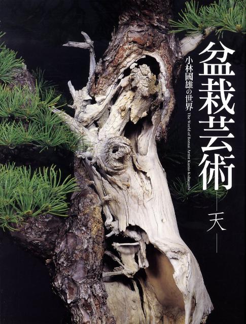 【中古】盆栽芸術（天（盆栽編））（大型本）