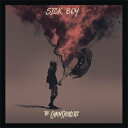 【中古】The Chainsmokers / Sick Boy 輸入盤