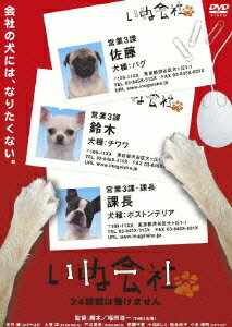 【中古】いぬ会社　Vol．1　24時間は働けません編/DVD/ASBY-4014