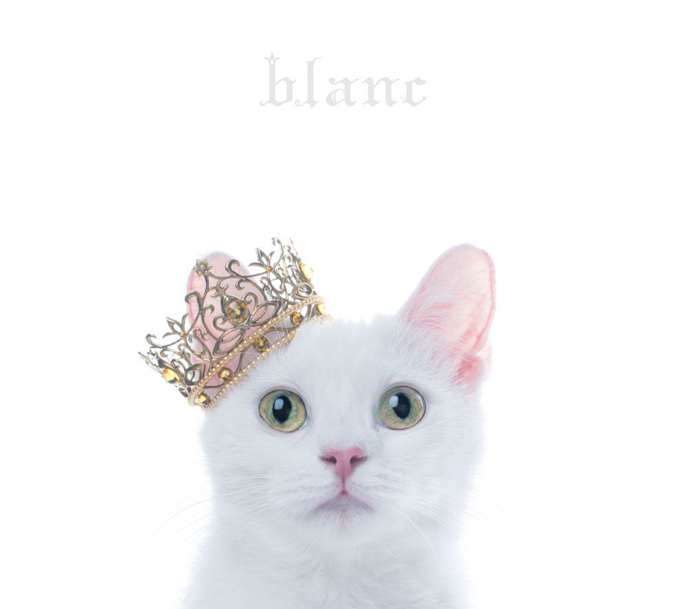 【中古】BEST　SELECTION“blanc”（初回生産限定盤B）/CD/SECL-2141