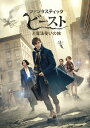 【中古】ファンタスティック・ビーストと魔法使いの旅/DVD/1000642971