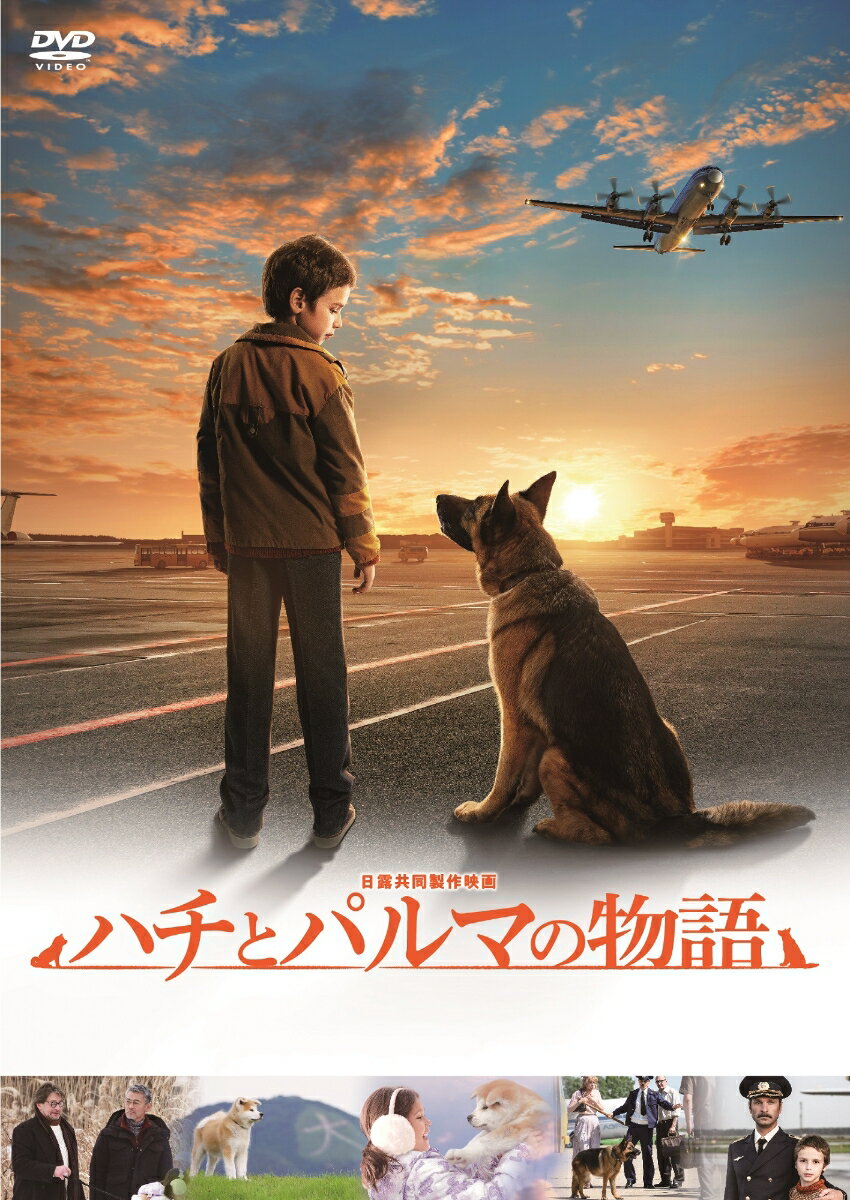 【中古】ハチとパルマの物語/DVD/HPBR-1276
