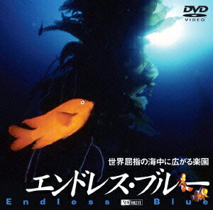 【中古】エンドレス・ブルー／世界屈指の海中に広がる楽園/DVD/SDA-34