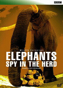 ◆◆◆印刷物がありません。中古ですので多少の使用感がありますが、品質には十分に注意して販売しております。迅速・丁寧な発送を心がけております。【毎日発送】 商品状態 出演 ドキュメント 販売元 カルチュア・エンタテインメント 発売日 2006年3月24日 JAN 4947864908584