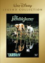【中古】三匹荒野を行く/DVD/VWDS-3893