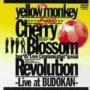 【中古】Cherry Blossom Revolution/DVD/COBA-50448 【中古】Cherry Blossom Revolution/DVD/COBA-50448